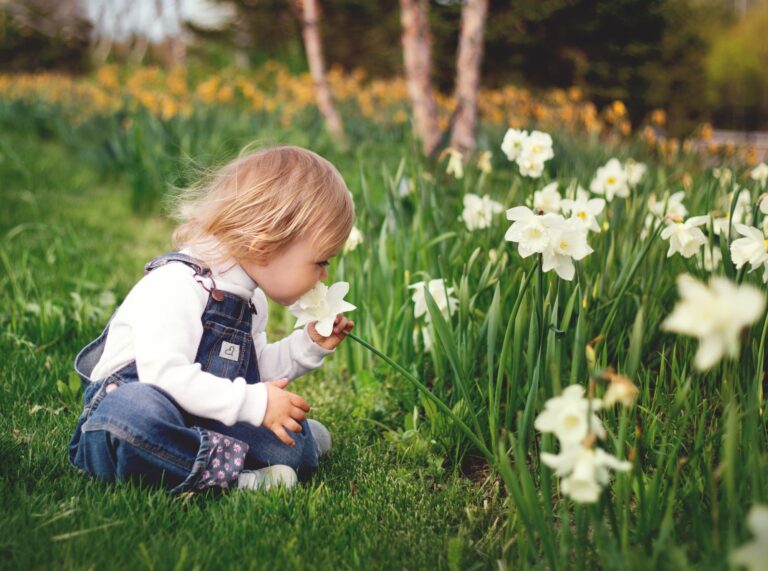 Et barn som sitter på gresset og lukter på påskeliljer